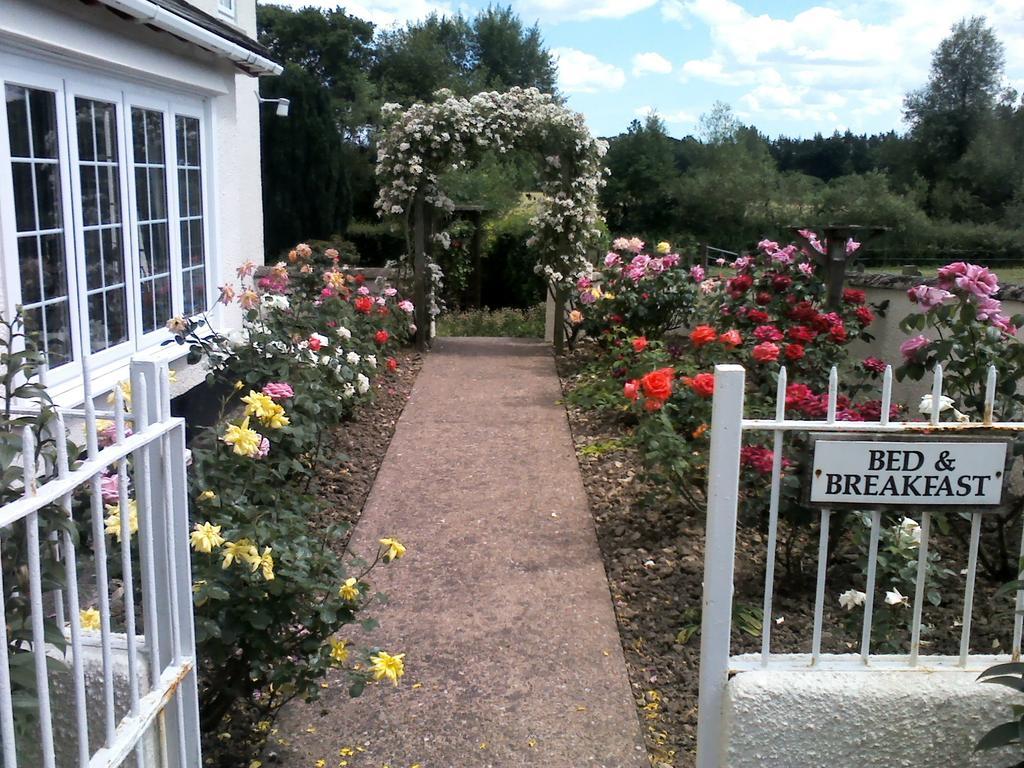 Bed and Breakfast Weir Mill Farm Cullompton Exterior foto